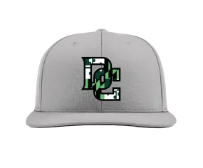 Fitted Hats Damascus Cougars