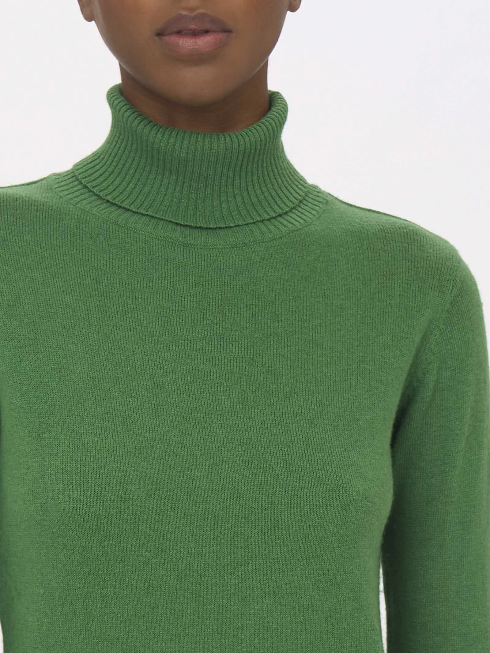 Nice Wool Juniper Turtleneck Sweater