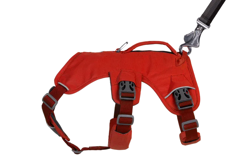 Ruffwear Web Master Harness Walking Gear Dogs George Fisher UK