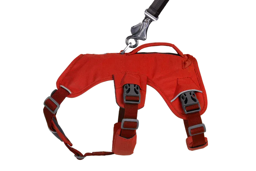 Ruffwear Web Master Harness Walking Gear Dogs George Fisher UK