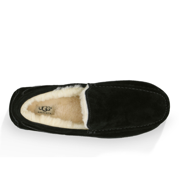 UGG Ascot Slipper Black Men - Shop Now