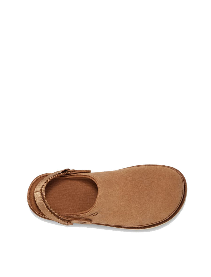 UGG Goldenstar Clog Chestnut