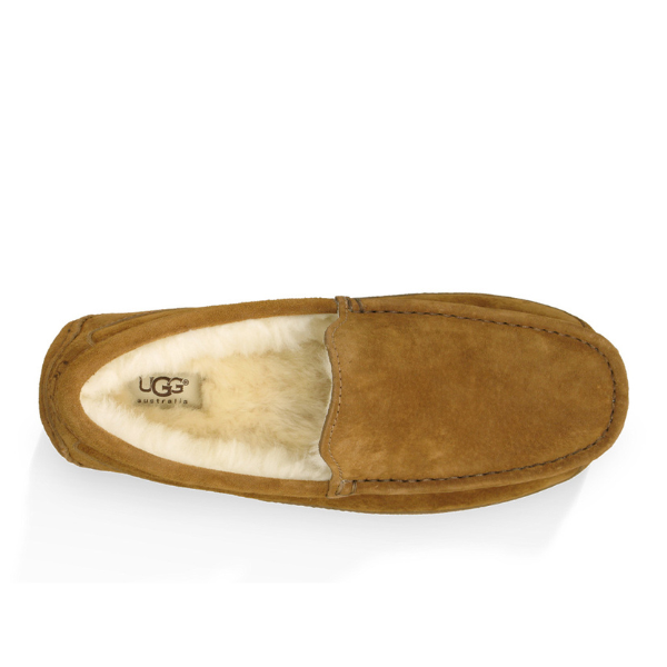 UGG Mens Ascot Slipper Chestnut - Buy Now!